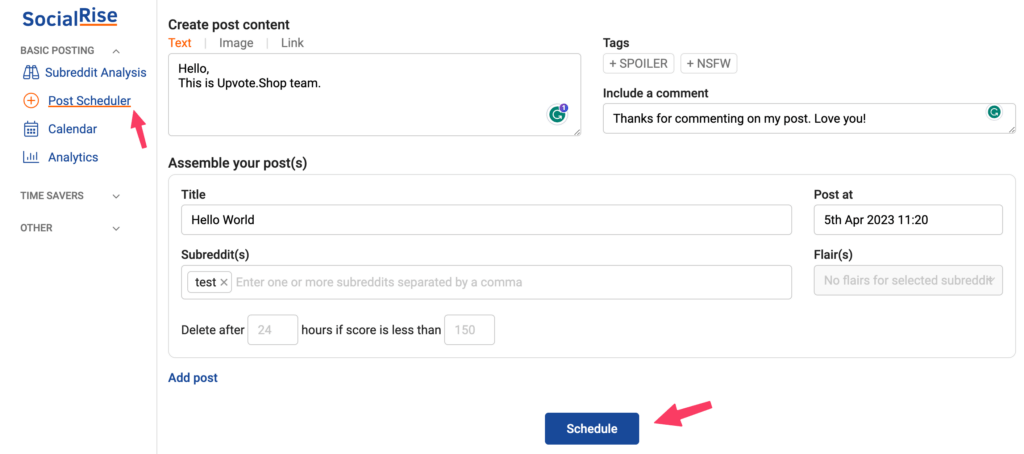 schedule posts on social rise